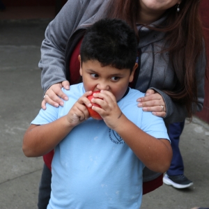 Día de la Actividad Física